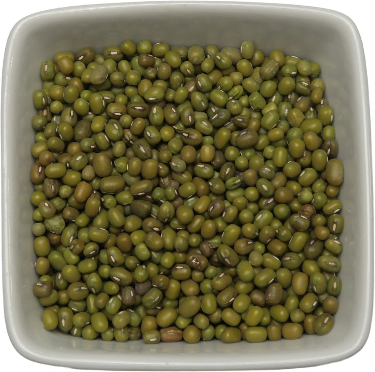 Mung Beans - Vigna Radiata