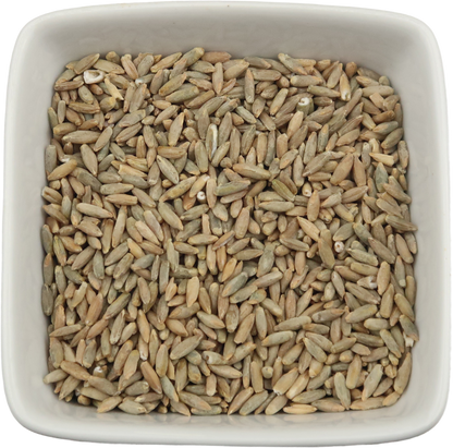 Rye Berries, Organic Whole Wheat Grain - Secale cereale L