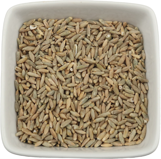 Rye Berries, Organic Whole Wheat Grain - Secale cereale L