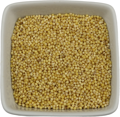 Millet Seeds, Organic Whole - Panicum Miliaceum