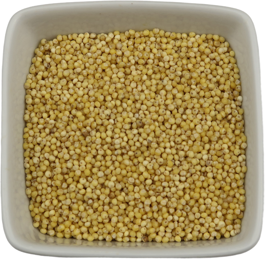 Millet Seeds, Organic Whole - Panicum Miliaceum