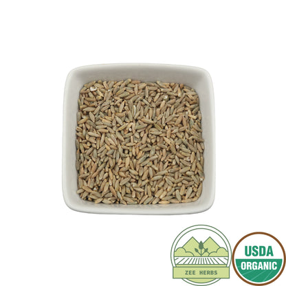 Rye Berries, Organic Whole Wheat Grain - Secale cereale L