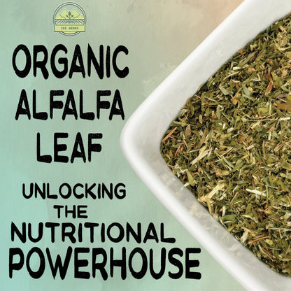 Organic Alfalfa Leaf, Cut & Sifted (Medicago Sativa)