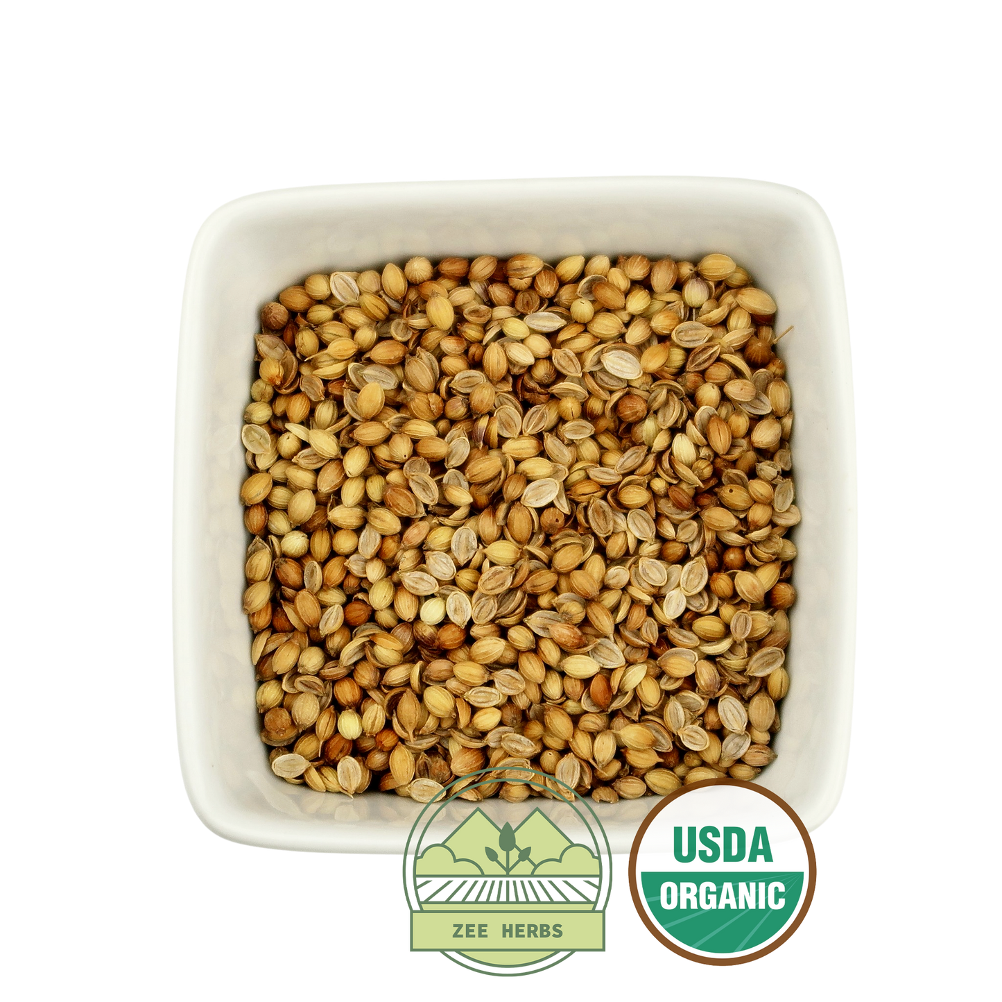 Coriander Seed, Organic Whole - Coriandrum sativum