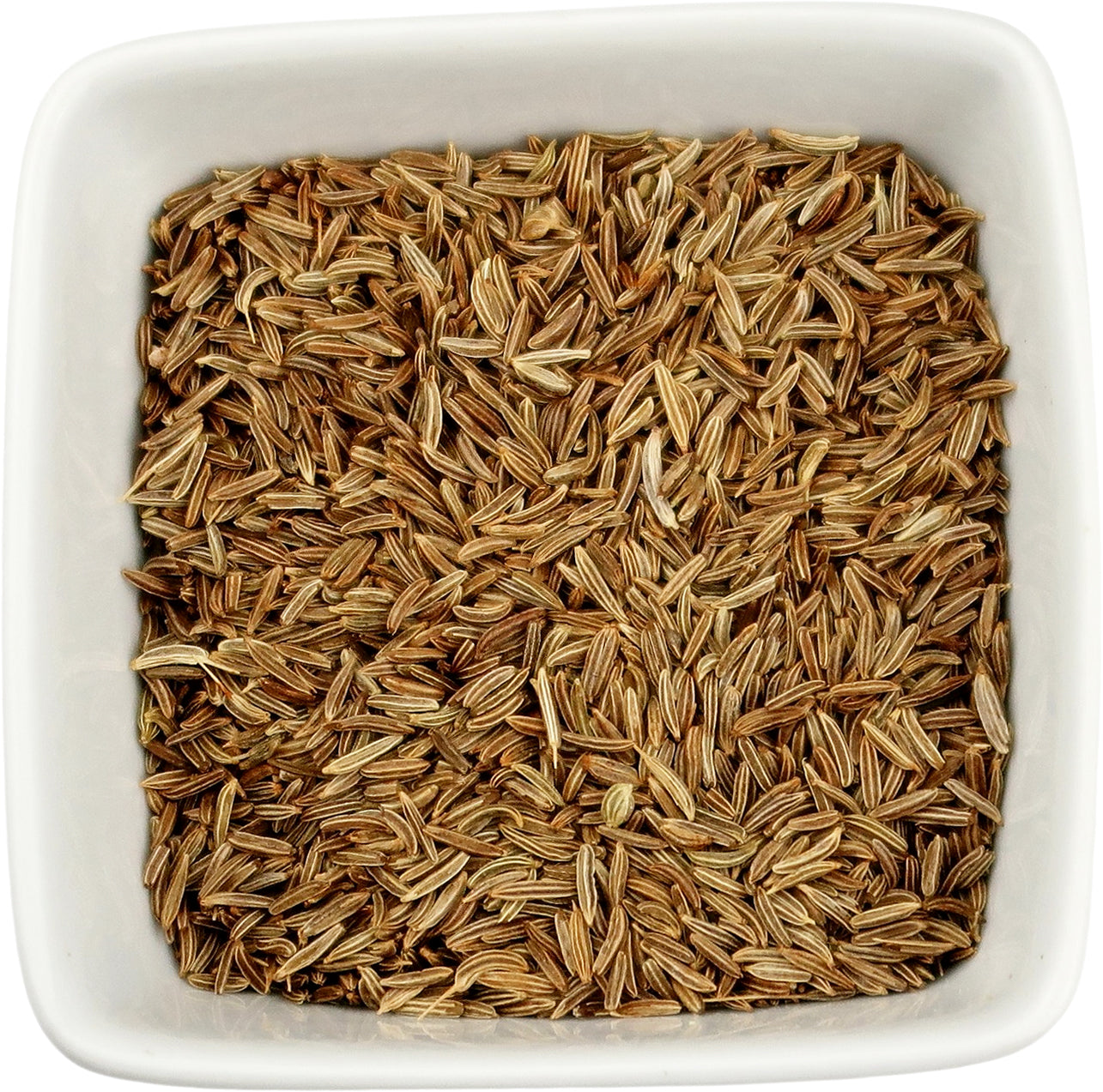 Caraway Seed, Organic Whole - Carum carvi